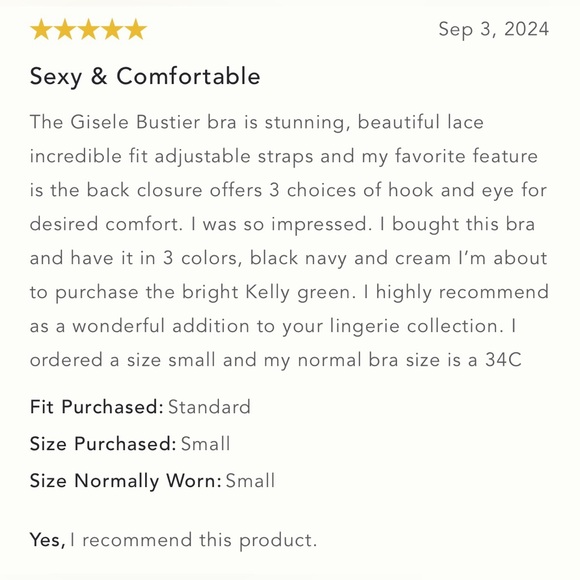 NWT Size XL - The Giselle Lace Bustier - Picture 14 of 16